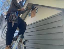 Best Siding Removal and Disposal  in Wadena, MN